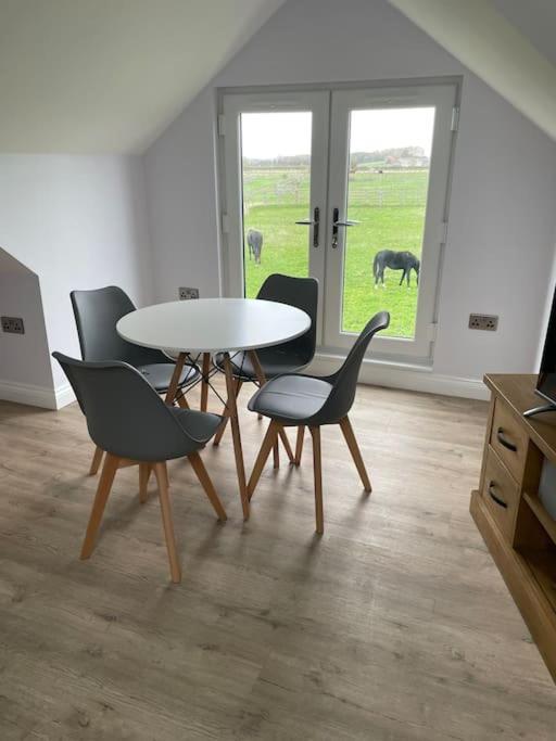 Appaloosa Suite With Amazing Views Of Stud Farm. Driffield エクステリア 写真