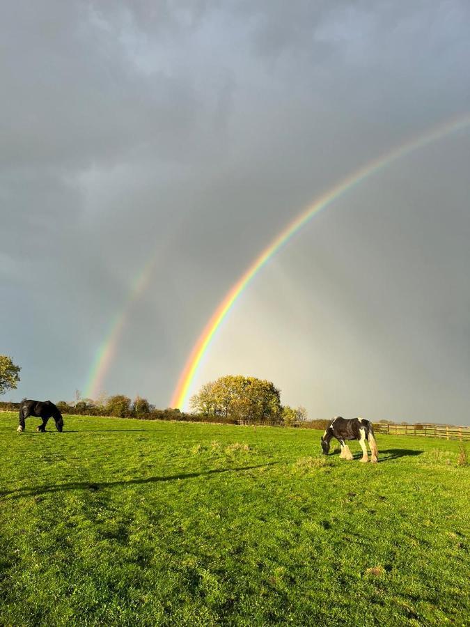 Appaloosa Suite With Amazing Views Of Stud Farm. Driffield エクステリア 写真